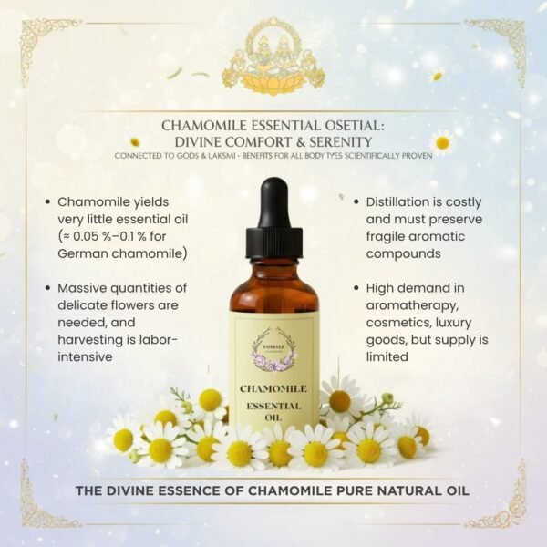 Forever Flourish Chamomile Essential Oil 100% Pure Natural Therapeutic Grade - Image 4